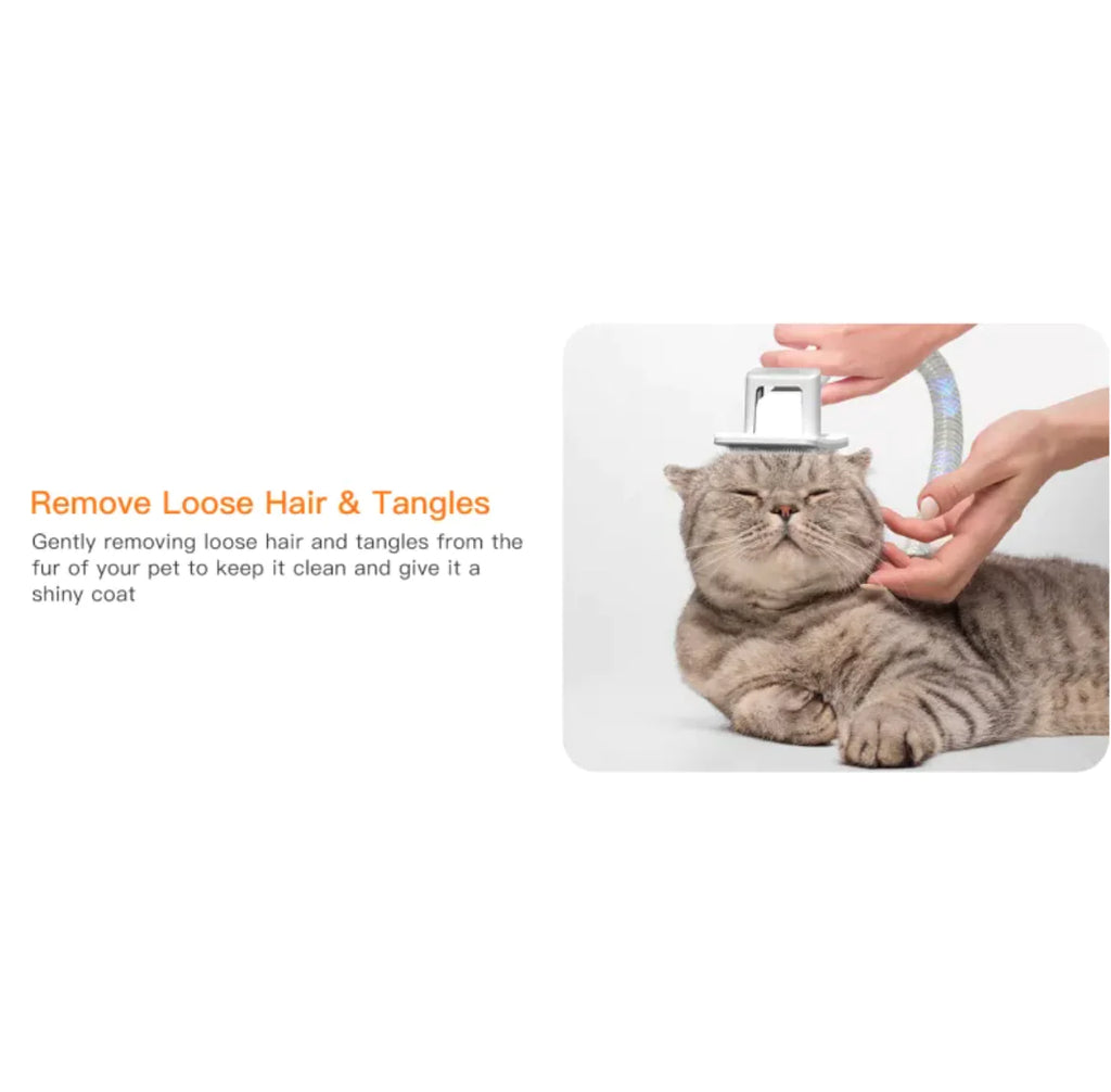 Pet Coat Revitalizer & Cleanser