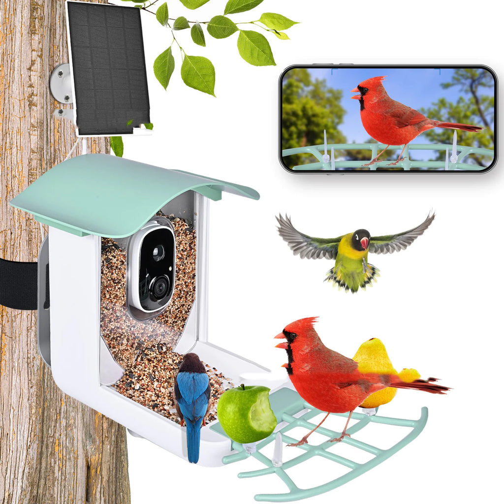 Solar Smart Bird Feeder