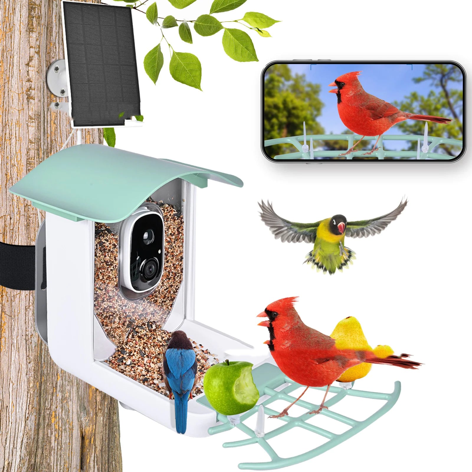 Solar Smart Bird Feeder