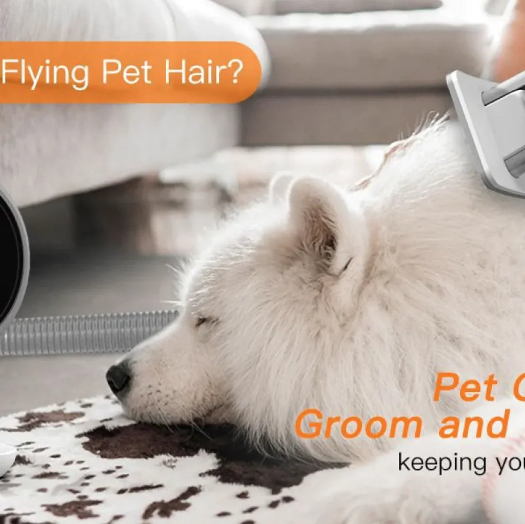 Pet Coat Revitalizer & Cleanser