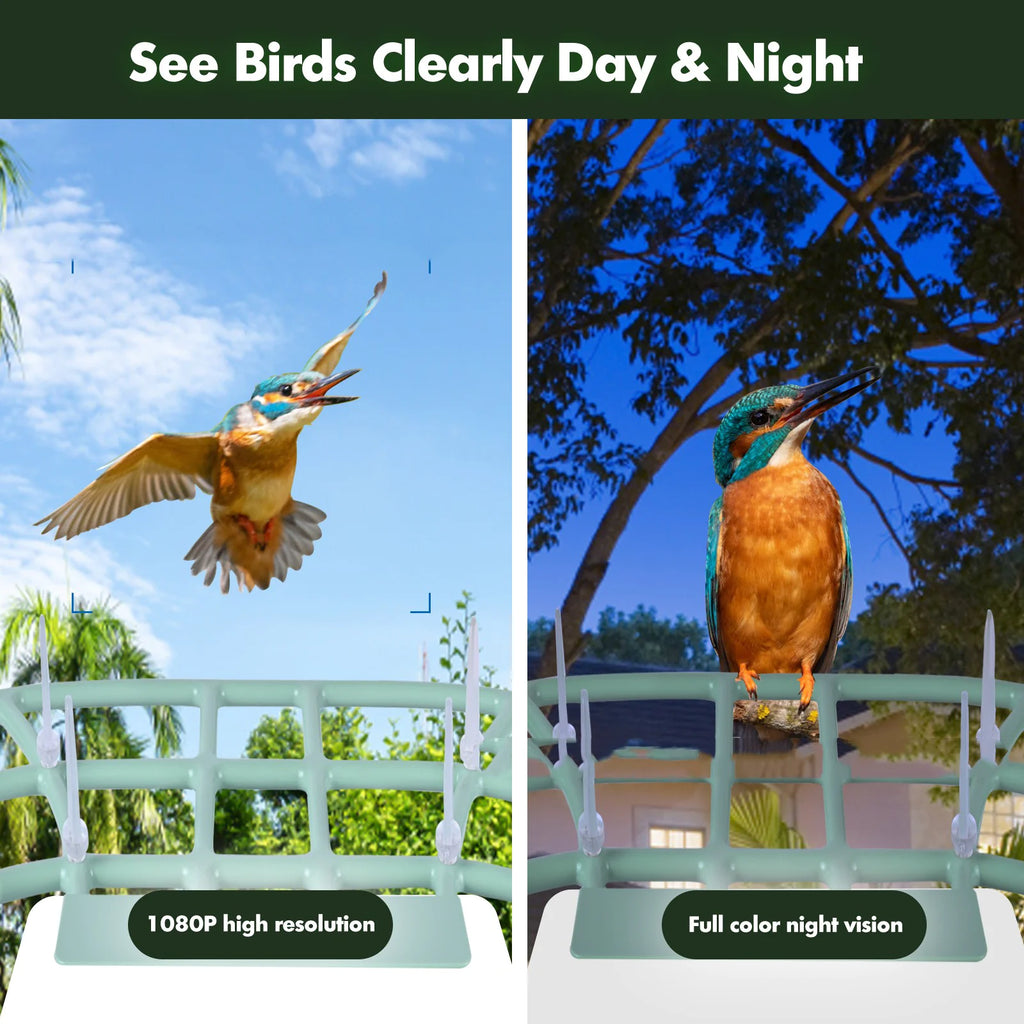Solar Smart Bird Feeder