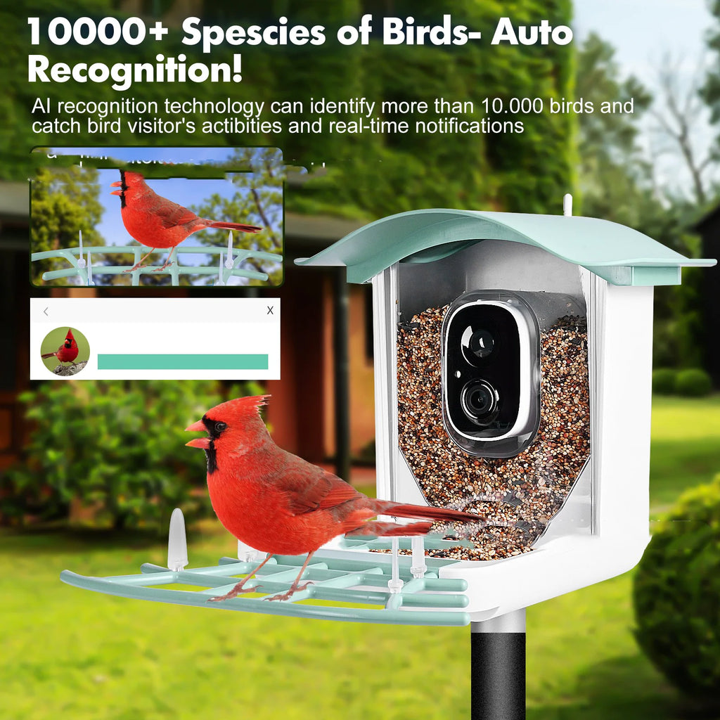 Solar Smart Bird Feeder