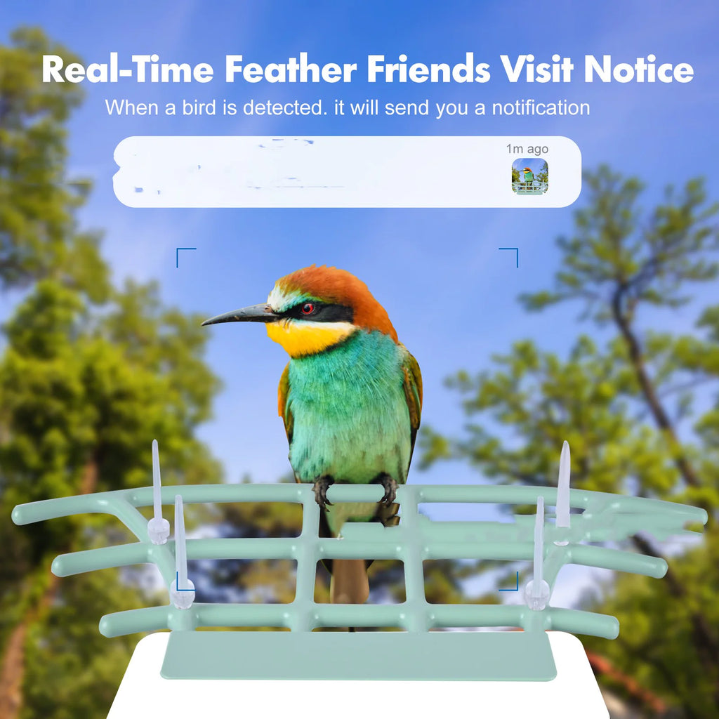 Solar Smart Bird Feeder