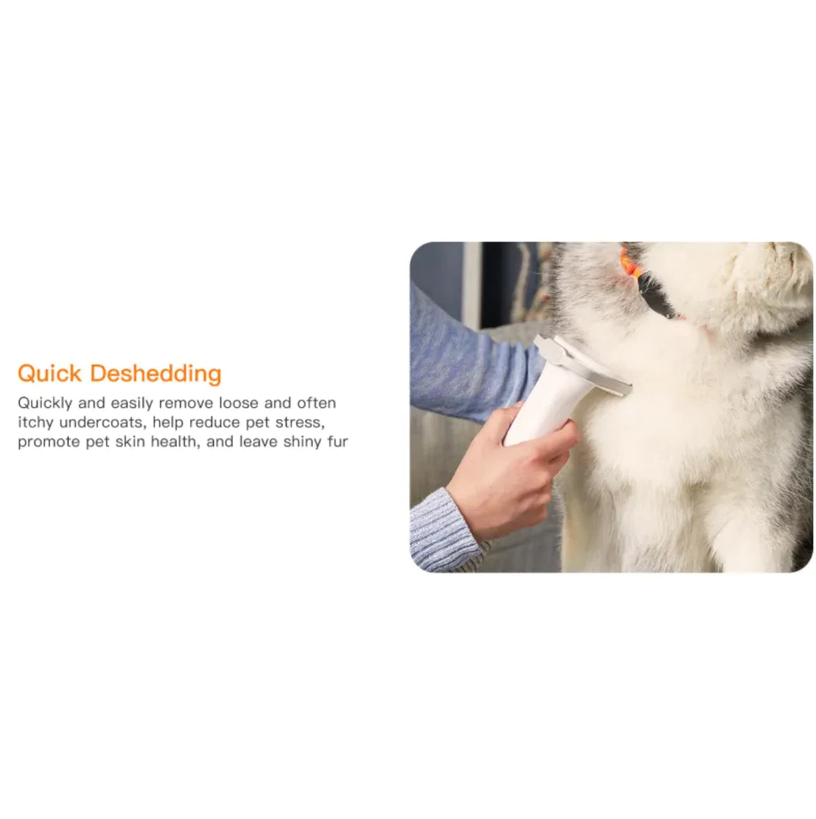Pet Coat Revitalizer & Cleanser